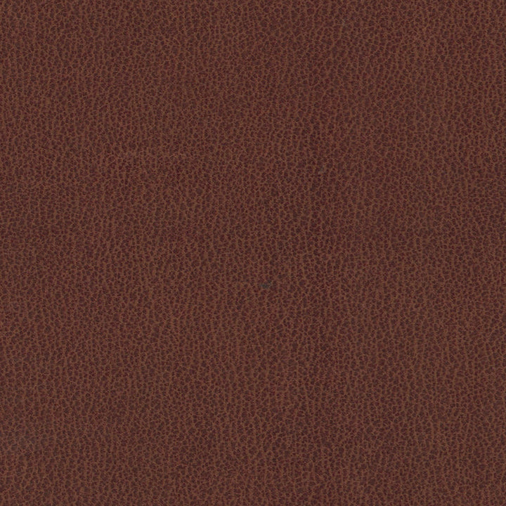 Fraser Dining Chair - Tan Brown