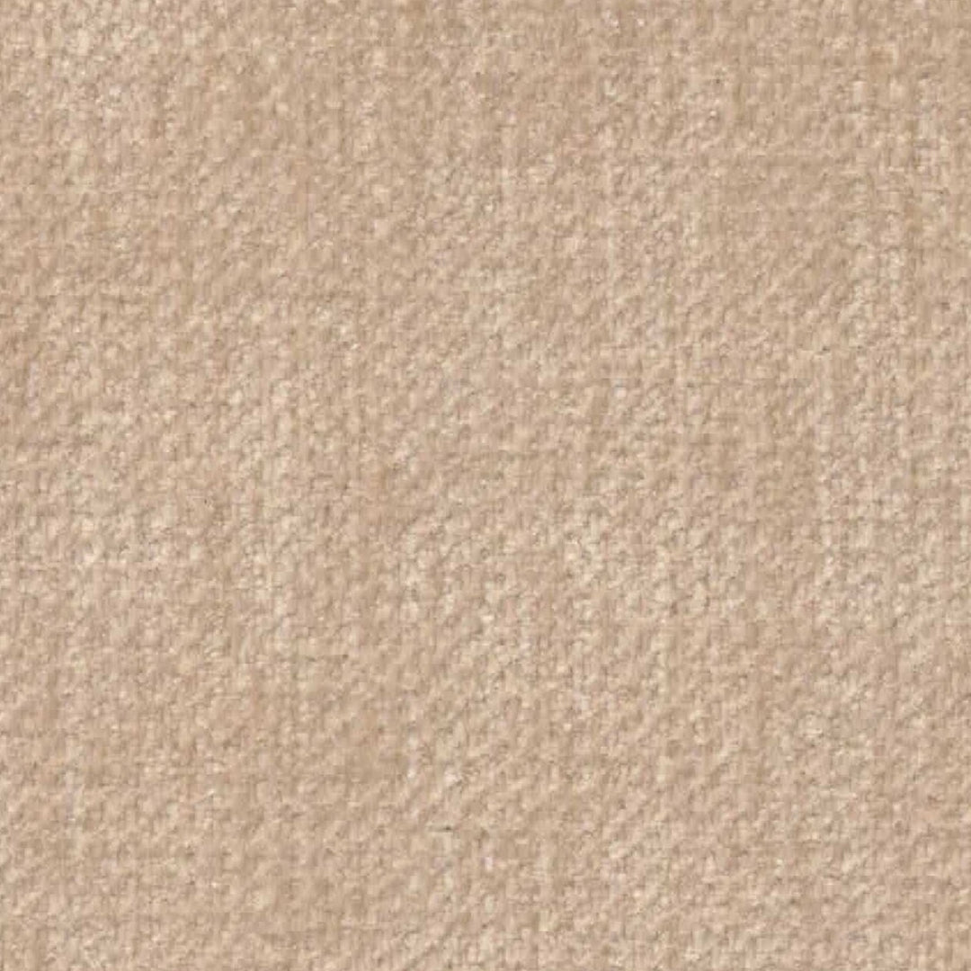 Rollo Club Chair - Distressed Velvet Natural