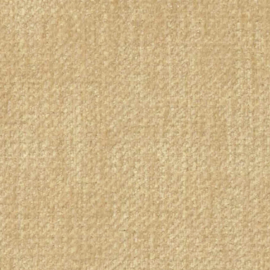 Rollo Club Chair - Distressed Velvet Natural