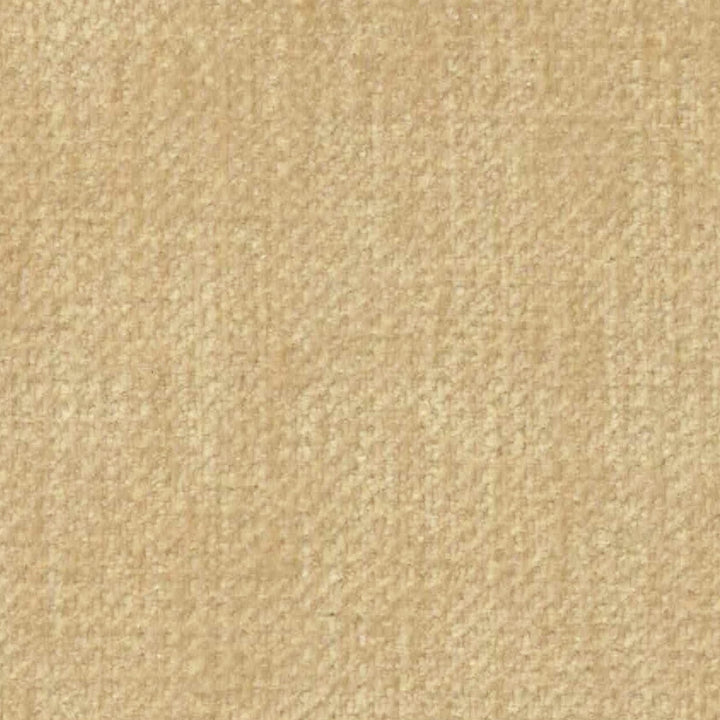 Rollo Club Chair - Distressed Velvet Natural
