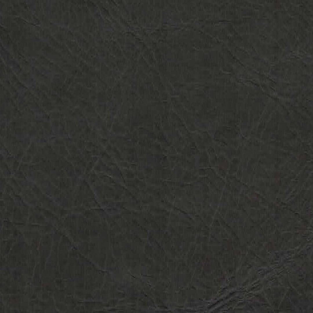 Dakota Dining Chair - Black
