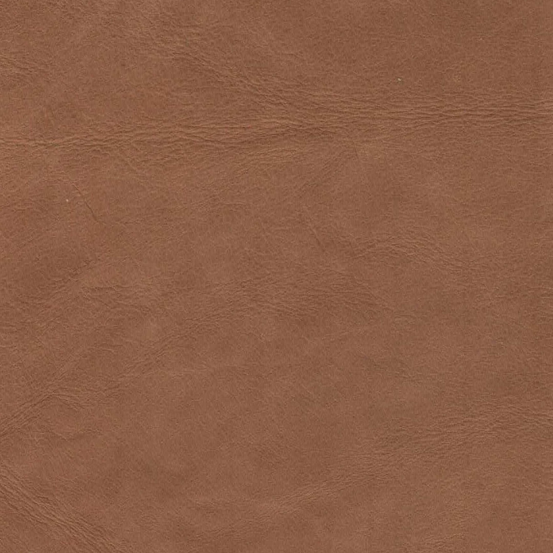 Dakota Dining Chair - Tan