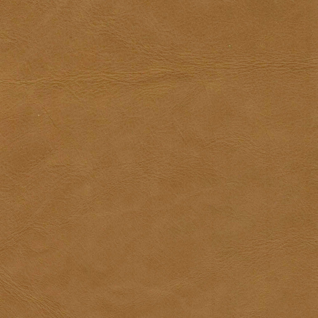 Dakota Dining Chair - Tan