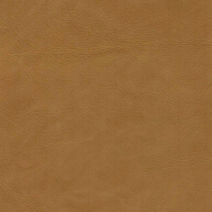 Jackson Sofa - Tan