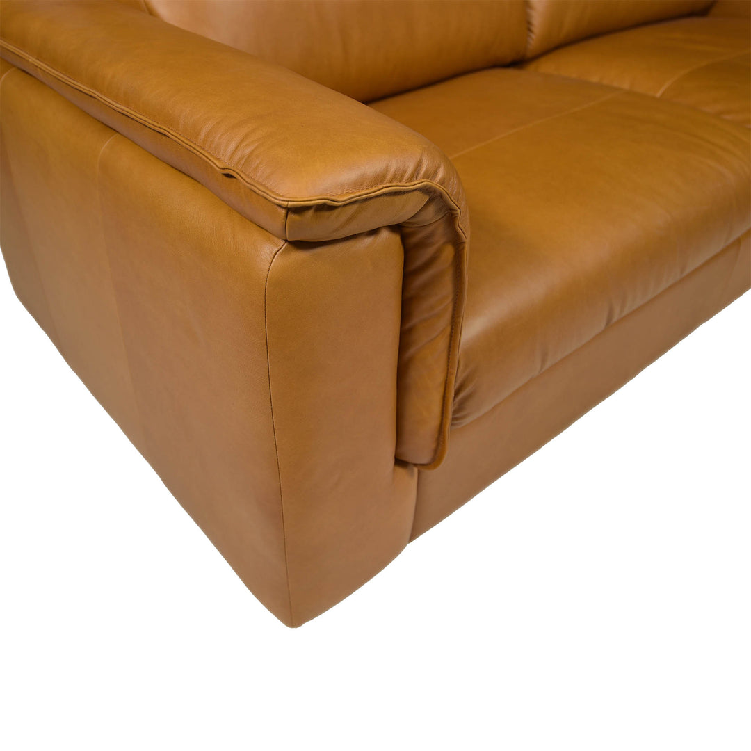 Jackson Sofa - Vintage Tan