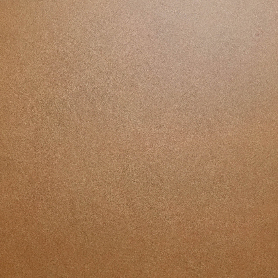 Jackson Sofa - Vintage Tan