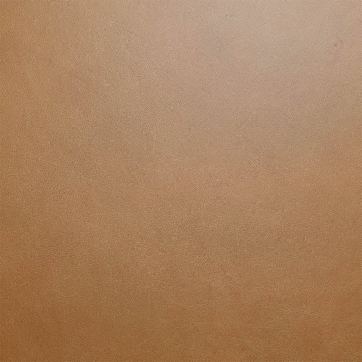 Jackson Sofa - Vintage Tan