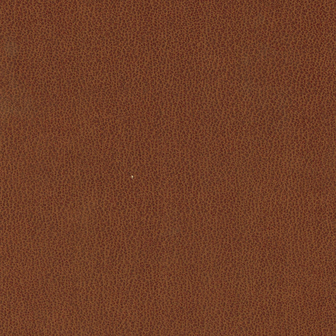 Fraser Dining Chair - Tan Brown