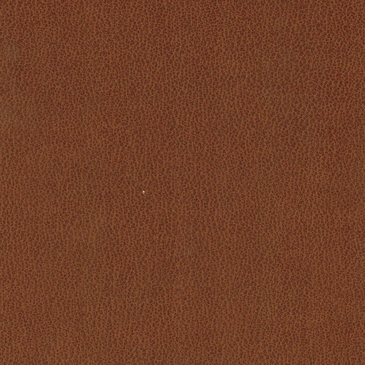 Fraser Dining Chair - Tan Brown