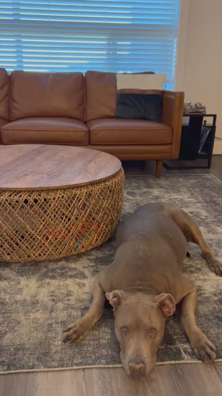 D-Bodhi Knut Coffee Table