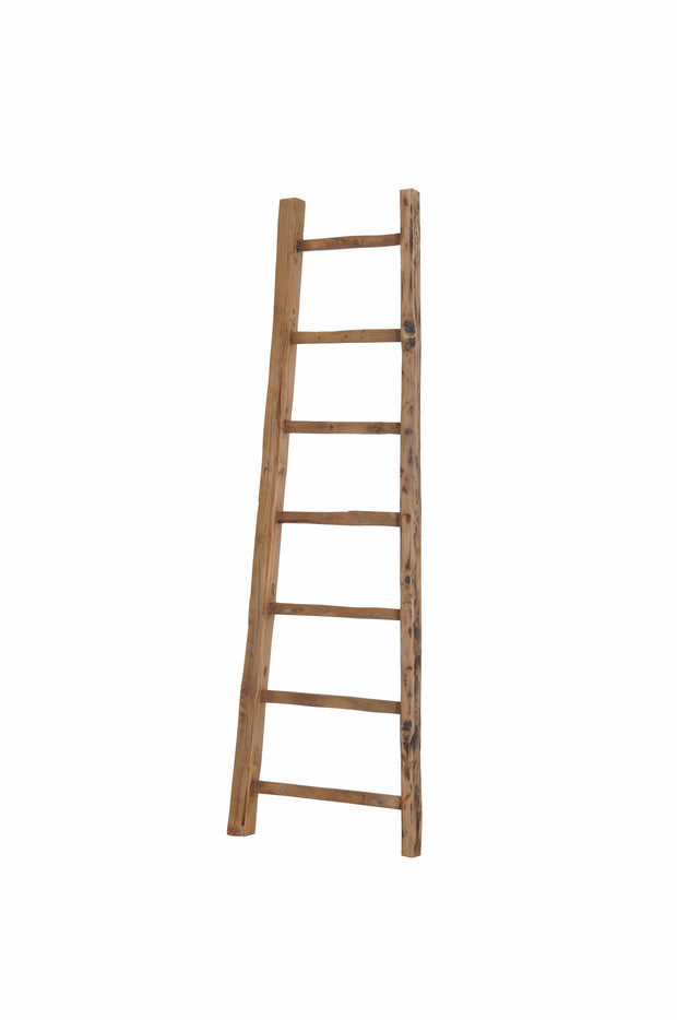 D-Bodhi Small Ladder